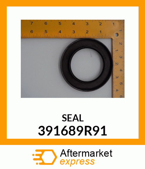 SEAL 391689R91