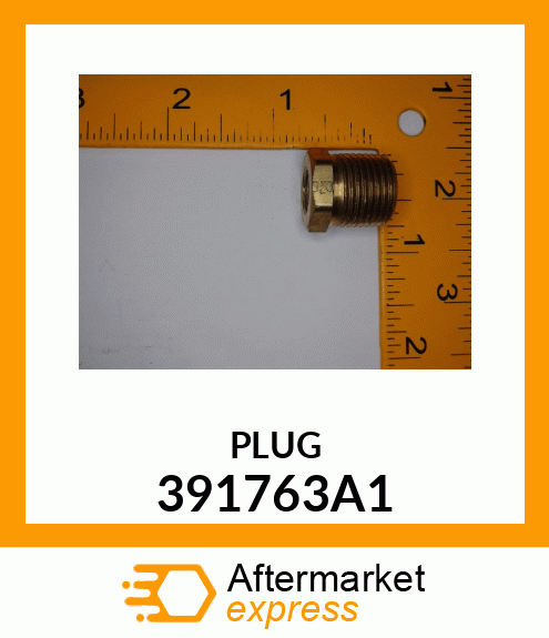 PLUG 391763A1