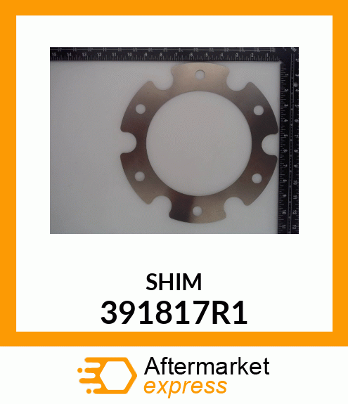 SHIM 391817R1