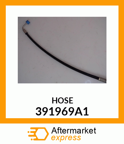 HOSE 391969A1