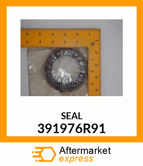 Front Crank Seal CNH 391976R91