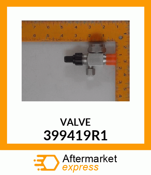 VALVE 399419R1