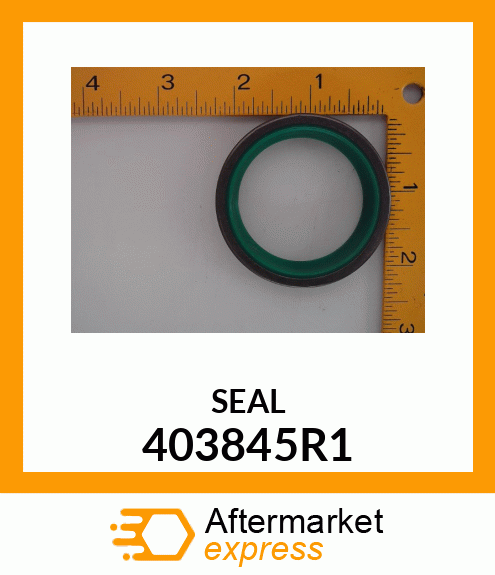 SEAL 403845R1