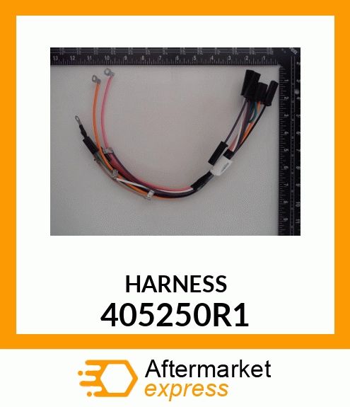 HARNESS 405250R1