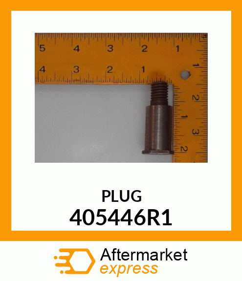 PLUG 405446R1