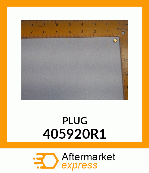 PLUG 405920R1