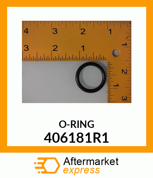 O-RING 406181R1