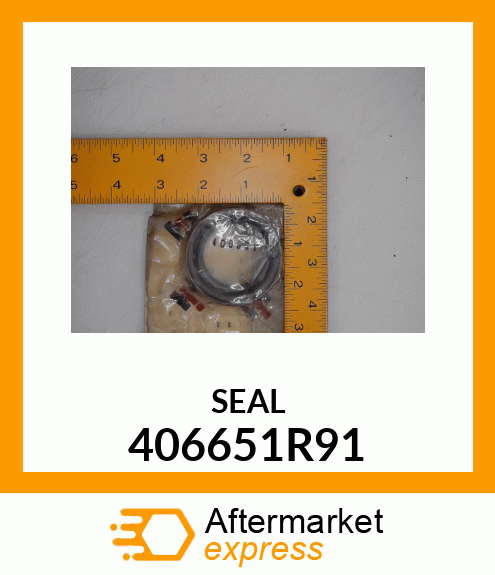 SEAL 406651R91