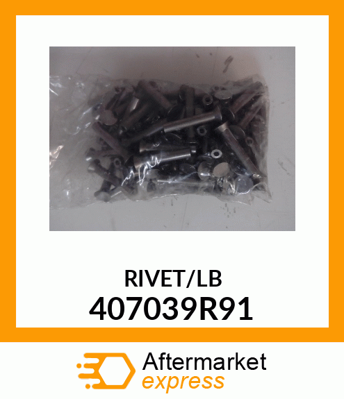 RVT/LB100PC 407039R91