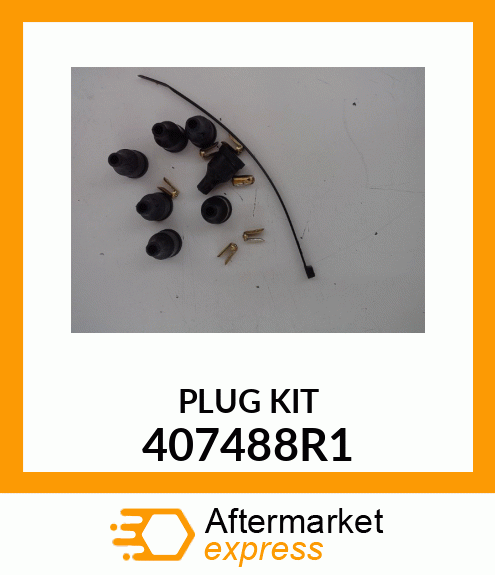 PLUG_KIT 407488R1