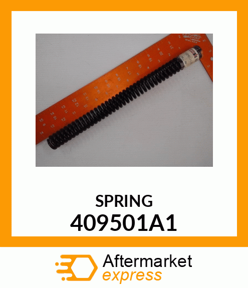 SPRING 409501A1