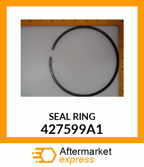 SEALRING 427599A1