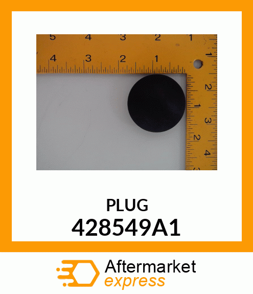 PLUG 428549A1