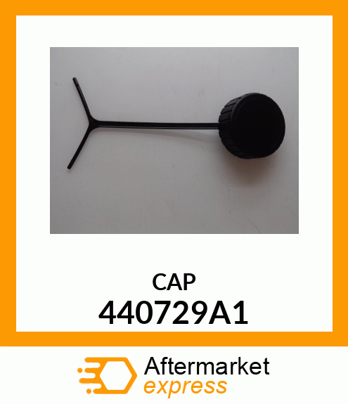 CAP 440729A1