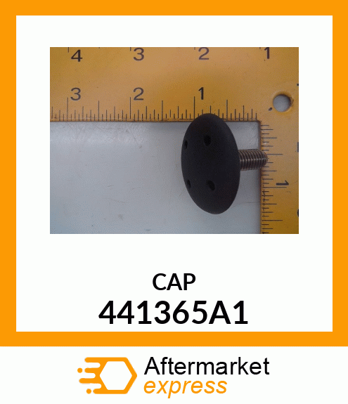 CAP 441365A1