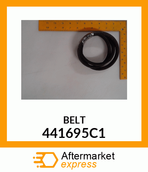 BELT 441695C1