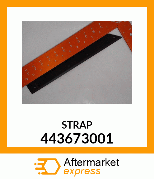 STRAP 443673001