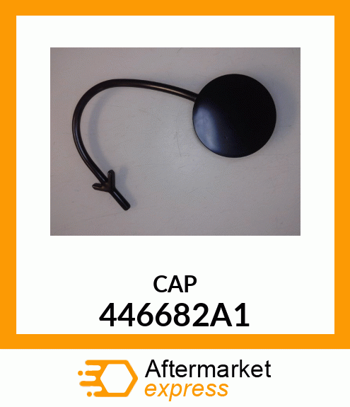 CAP 446682A1