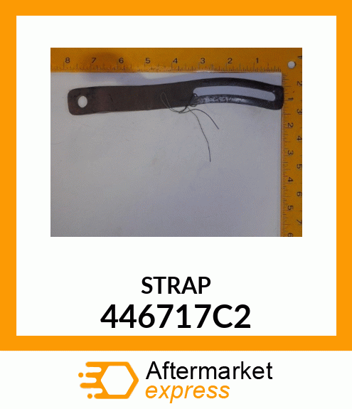 STRAP 446717C2