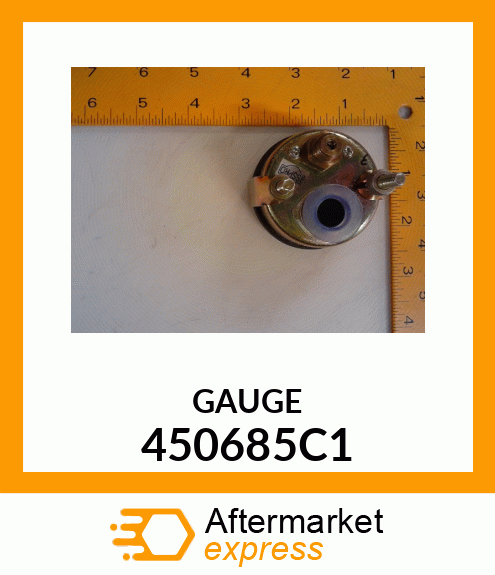 GAUGE 450685C1