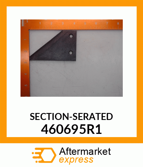 SECTION-SERATED 460695R1