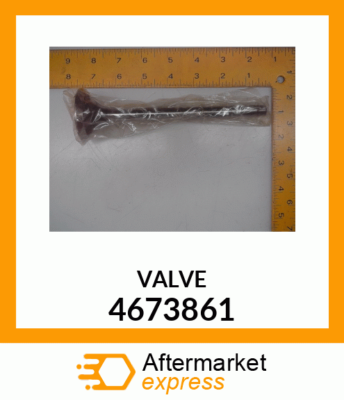 VALVE 4673861