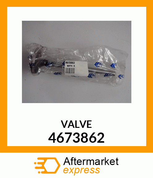 VALVE 4673862