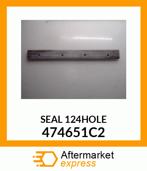 SEAL_124HOLE 474651C2