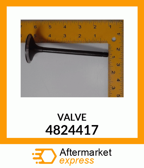 VALVE 4824417