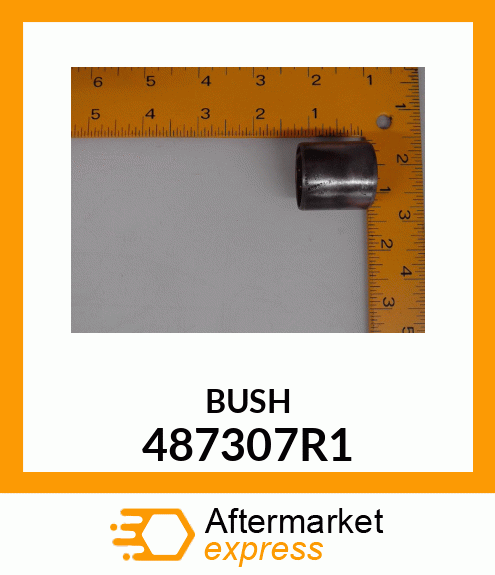 BUSH 487307R1