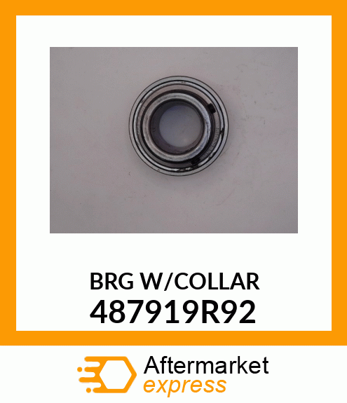 BRGW/COLLAR 487919R92