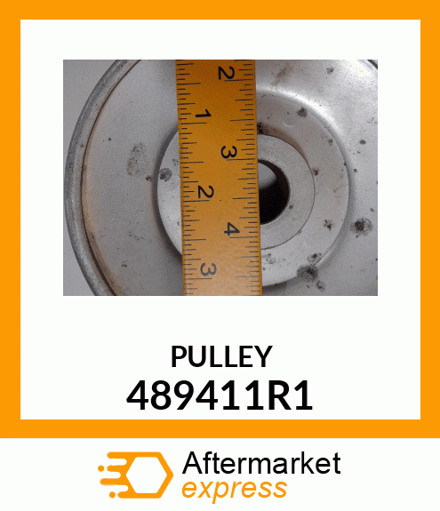 PULLEY 489411R1