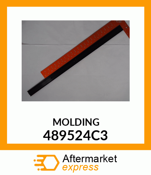 MOLDING 489524C3