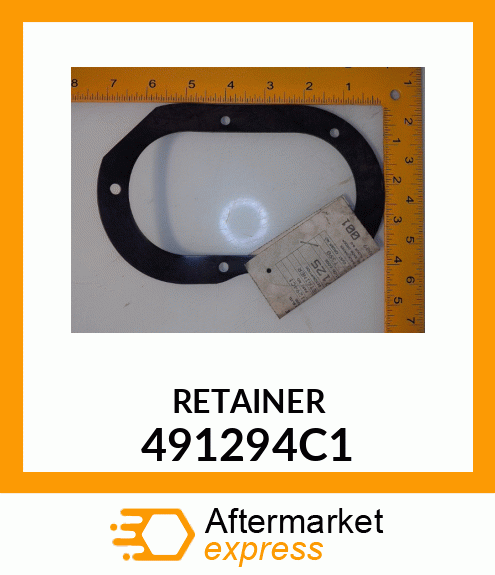 RETAINER 491294C1