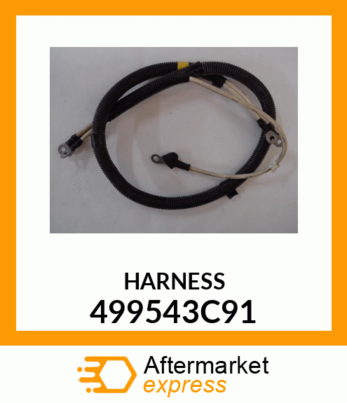 HARNESS 499543C91