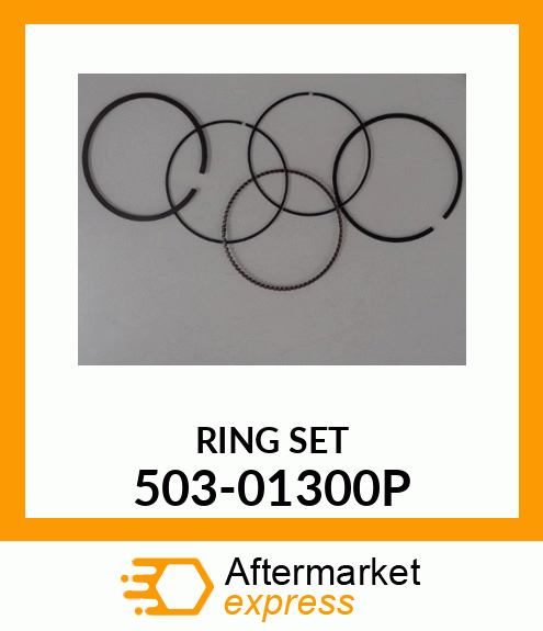 RING_SET 503-01300P