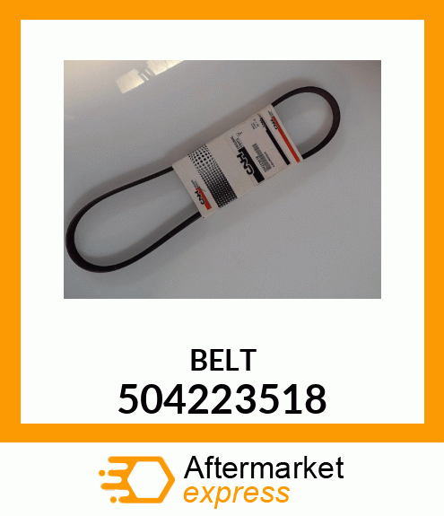 BELT 504223518