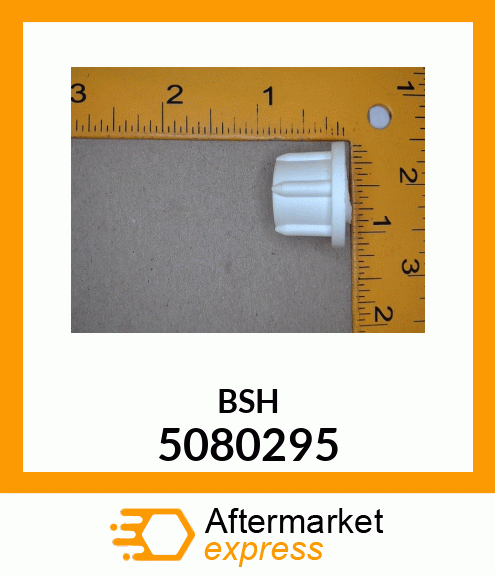 BSH 5080295