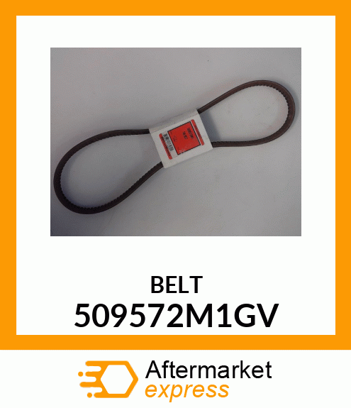 BELT 509572M1GV