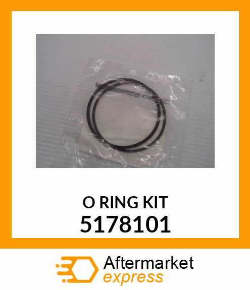 O_RING_KIT 5178101