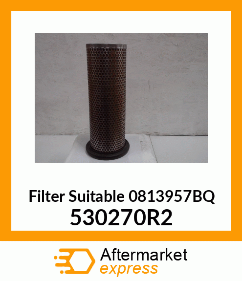 FILTER 530270R2