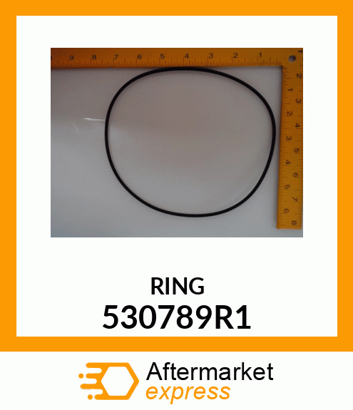 O-RING 530789R1