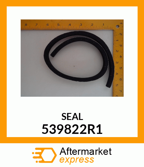 SEAL 539822R1