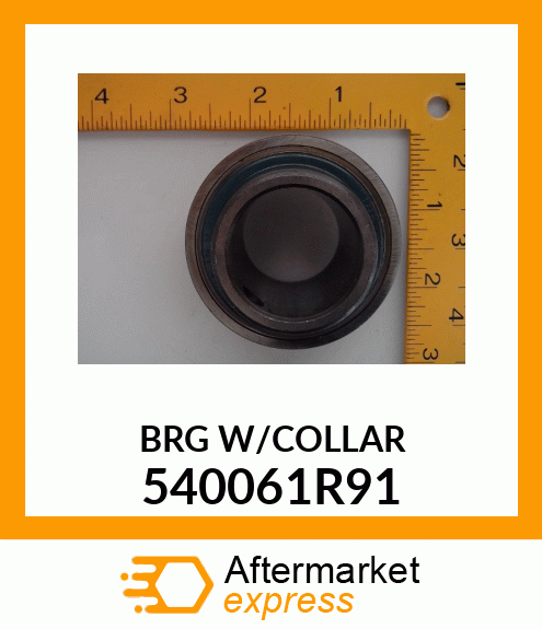 BRGW/COLLAR 540061R91