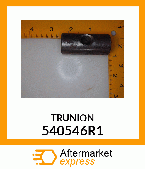 TRUNION 540546R1