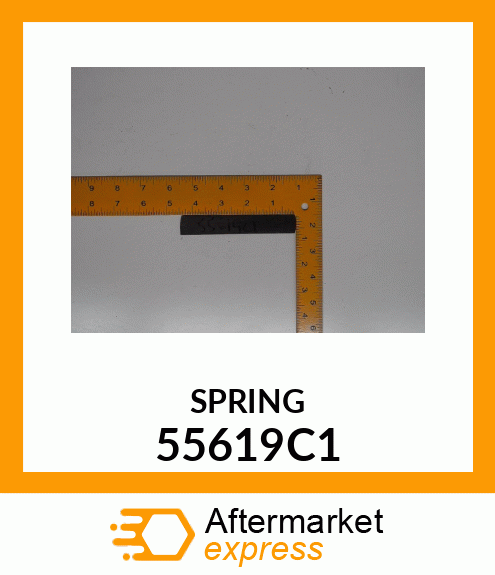 SPRING 55619C1