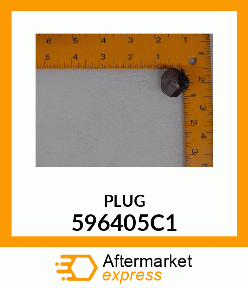 PLUG 596405C1