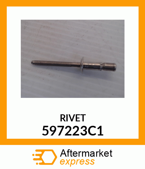 RIVET 597223C1