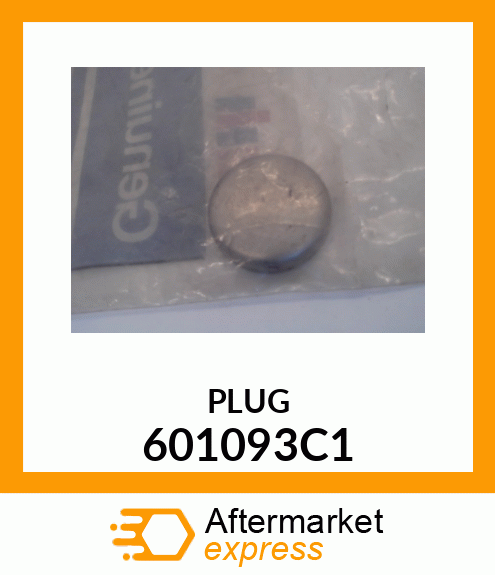 PLUG 601093C1