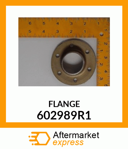 FLANGE 602989R1